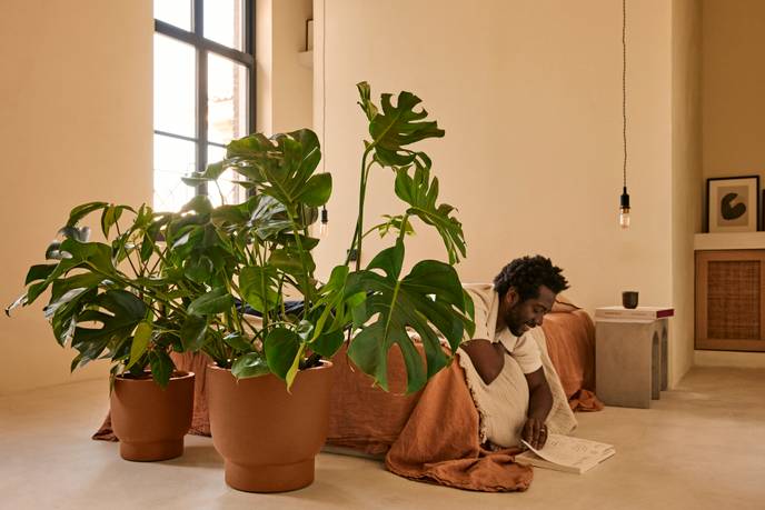 amber grail 30cm caramelo